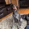 carsonhenry - @carsonhenry22 - TikTok