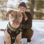 @c.arsonkent - Instagram