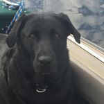 Carson Lake - @carsonlake6 - Instagram