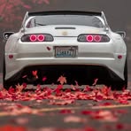 Carson Lamb - Facebook