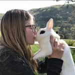 Carson Lamb - @lynseymcphee - Instagram