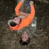 carsonlamb - @carsonlamb - TikTok
