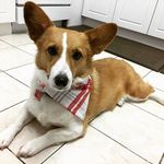 Carson Li - @carsonvstheworld - Instagram