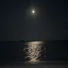 carsonmadden6 - @carsonmadden - TikTok