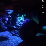 Carsonmadden - @carsonmadden39 - Instagram