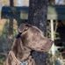 Cason Marlow - Facebook