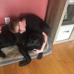 Carson Alan McDaniel - @carsonalan.mcdaniel - Instagram