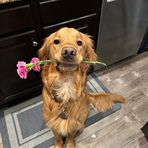Carson McDonald - Facebook