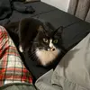 Carson McDowell - @terrified.minds - TikTok