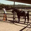 Carson McGee - @carsonmcgee13 - TikTok
