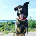 Carson 123 - @carson_mclean_115 - Instagram
