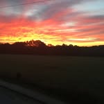 Carson McLean - @crgm_210 - Instagram
