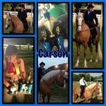 Carson McNulty - @carson_mcnulty12 - Instagram