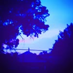 Carson McNulty - @carsonmcnulty17 - Instagram