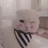 carsonmcsorley166 - @carsonmcsorleyy - TikTok