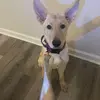 carsonmeadows4 - @carson.meadows3 - TikTok
