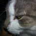 Carson Mengerink - Facebook