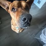 Carson messenger - @carson_messenger - Instagram