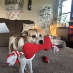 Carson Messenger - Facebook