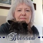 Karen Carson Metz - @karen_carson_metz_1234 - Instagram