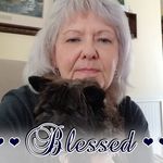 Karen Carson Metz - @karencarsonmetz - Instagram