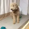 Carson Mitchell - @carson.mitchell65 - TikTok