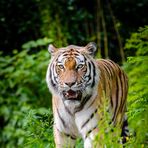 Carson Monahan - Facebook