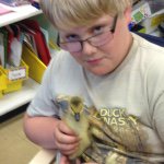 Carson Mooney - @stargoalie1 - Instagram