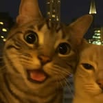 Carson Moore - @random_boi396 - Instagram