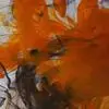 Carson Morley - @carson.morley - TikTok