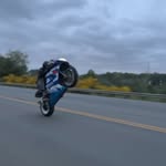 Carson Morris - @carson_m_ - Instagram