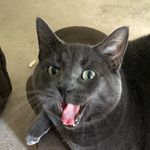 Carson Morris - @carson_morris127 - Instagram
