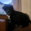 Carson Morris - @carson.morris6 - TikTok