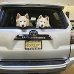 Carson Moser - @zepoof - Instagram