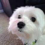carson Samuel Mullins - @carxon100 - Instagram