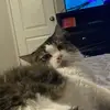 carsonmullins66 - @carsonmullins66 - TikTok