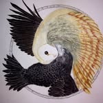carson alexander - @_carsonmurphy_ - Instagram