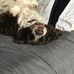 Carson Murray - Facebook