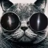 callmedaley - @carsonnicholas - TikTok