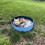 Carson Nicholas - Facebook
