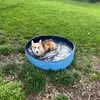 Carson Nicholas - @carson.nicholas3 - TikTok