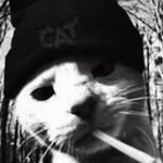 Carson Oliver Hill - @carsonoliverhill - Instagram