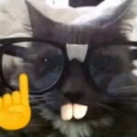 Carson owens - @carsonfowens - Instagram