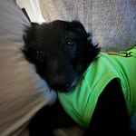 Carson pack - @carsonpack74774 - Instagram