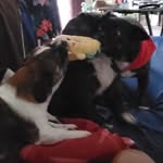 CarsonPack - @carsonpack3 - Instagram