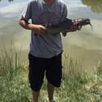 Carson Paiz - @carson_hansolo_paiz - Instagram