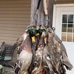 Carson Parrish - @carson_parrish_ - Instagram
