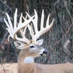 Carson Payne - @big_buckoutdoors - Instagram