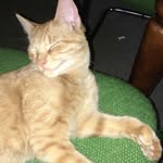 Peaches ❤️ - @peaches.carson - Instagram