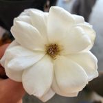 Carson Penner - @cp.7676 - Instagram